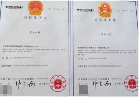 畫家李星辰申請商標注冊成功