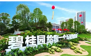  碧桂園五星級的家商標被駁回