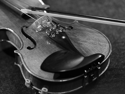 樂器商標類別-樂器行業商標注冊什么商標類別？