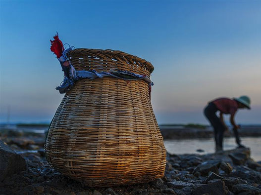 漁簍商標注冊屬于哪一類？