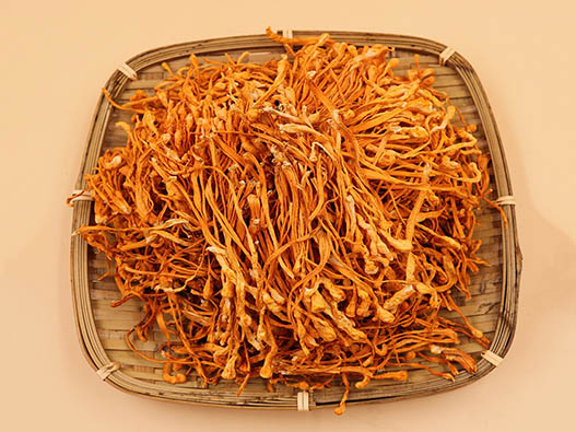 蟲草花商標注冊哪一類？