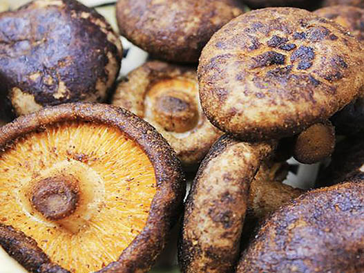 凍干蔬菜商標注冊哪一類？