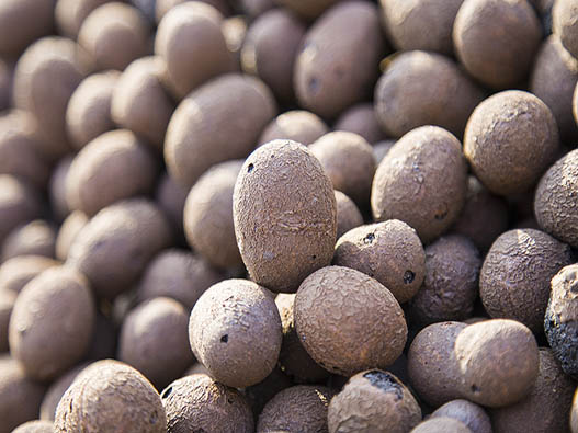 陶粒商標注冊哪一類？