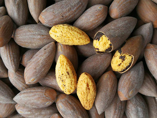 香榧商標注冊哪一類？