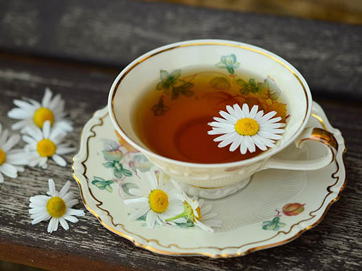 夏桑菊商標注冊哪一類？