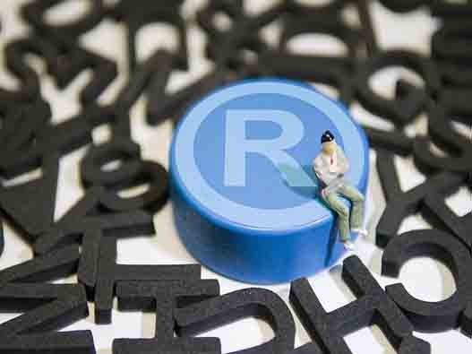 對惡意搶注商標異議成功的案例！