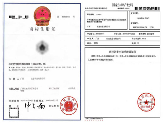 從商標駁回困境到復審希望成功之路