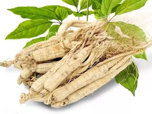 人參商標注冊屬于哪一類？