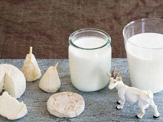 羊奶商標(biāo)注冊的材料是什么？