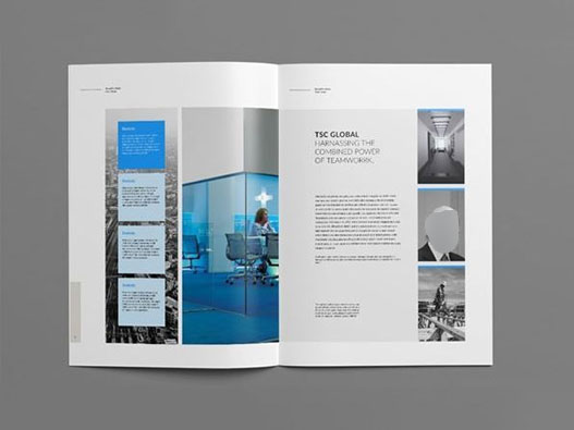 魚肚商標(biāo)注冊屬于哪一類？