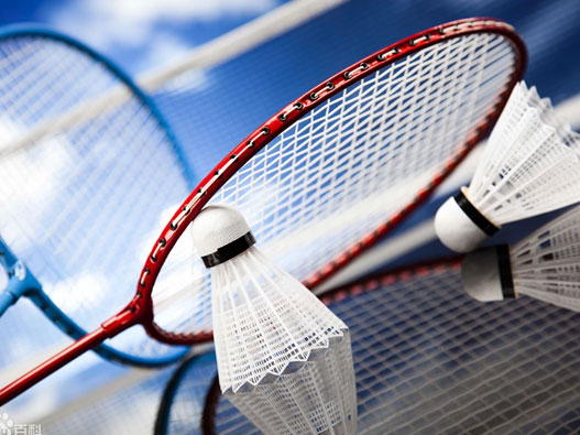 羽毛球拍商標注冊哪一類？