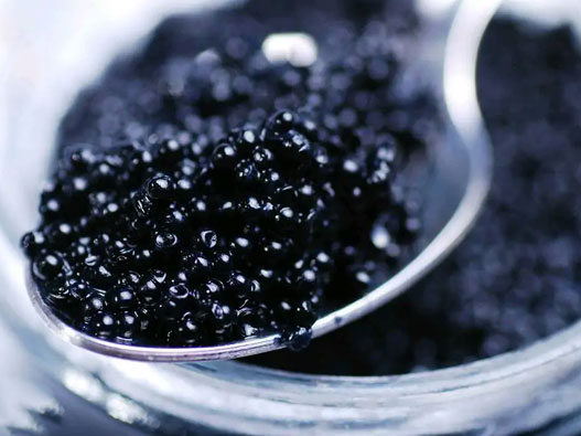 魚子醬商標注冊屬于哪一類？