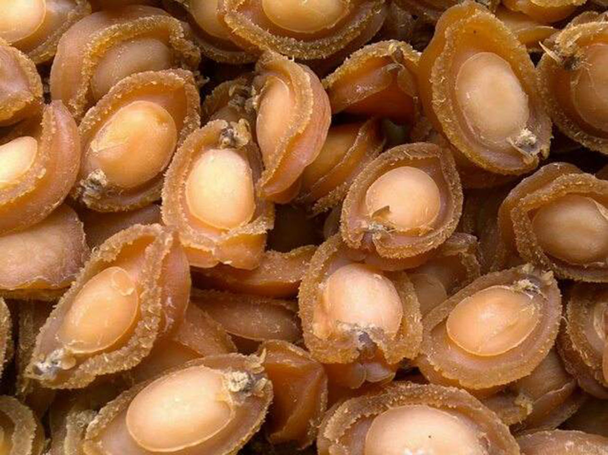 鮑魚干商標注冊