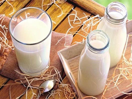 鮮牛奶商標注冊哪一類？