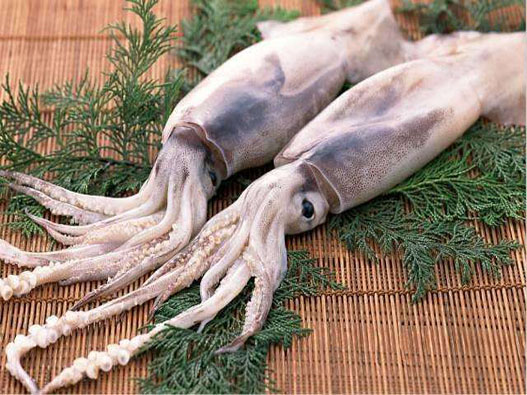 魷魚(yú)商標(biāo)注冊(cè)屬于哪一類？