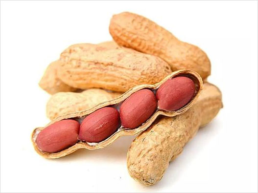 花生商標注冊屬于哪一類？