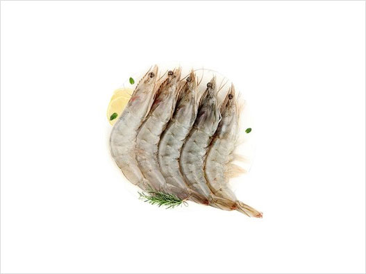 蝦商標注冊屬于哪一類？