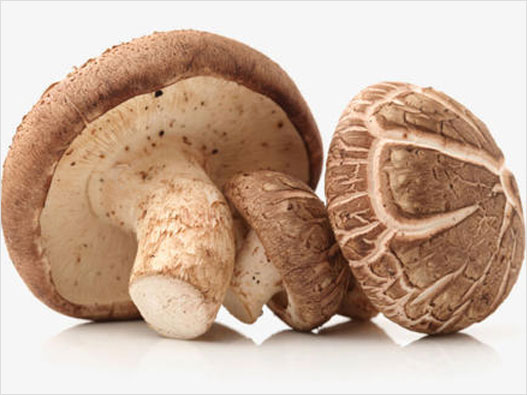 香菇商標注冊屬于哪一類？