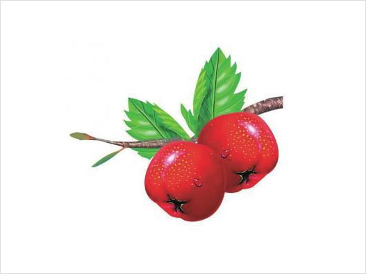 山楂商標注冊哪一類？