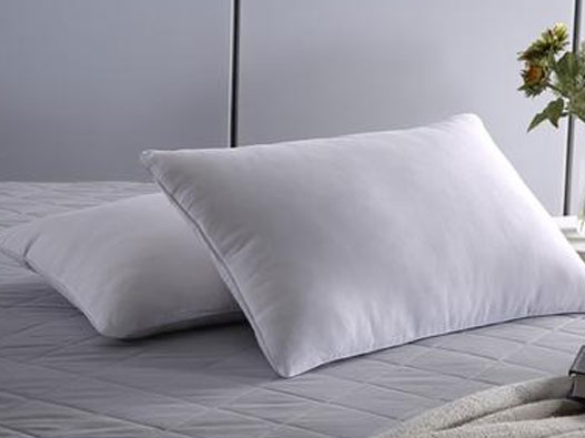 枕芯商標(biāo)注冊哪一類？