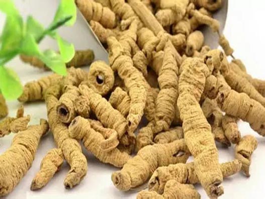 巴戟天商標注冊的費用有哪些？