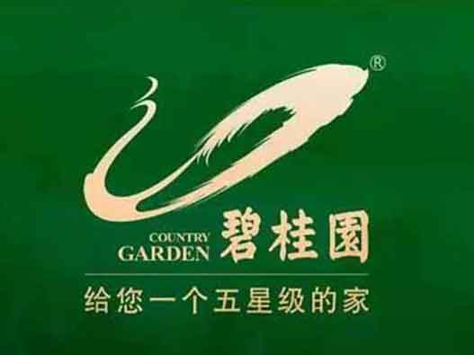  碧桂園商標(biāo)注冊(cè)-碧桂園&ldquo;五星級(jí)的家&rdquo;商標(biāo)注冊(cè)被駁回