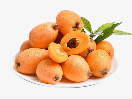 枇杷商標(biāo)注冊屬于哪一類？