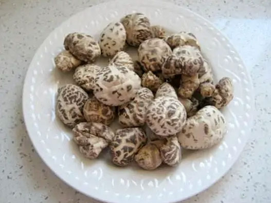 冬菇商標注冊屬于哪一類？