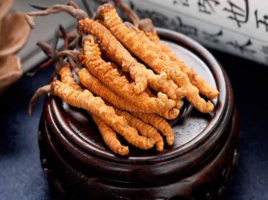 冬蟲夏草商標注冊的流程是什么？