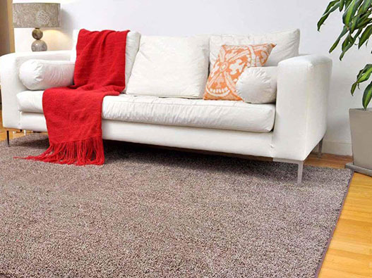 地毯商標注冊屬于哪一類？