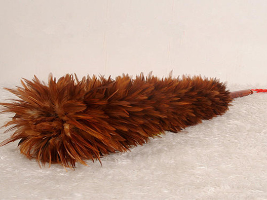 毛撣商標注冊屬于哪一類？