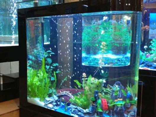 魚缸商標注冊屬于哪一類？