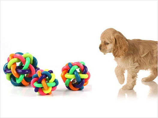 寵物玩具商標注冊哪一類？