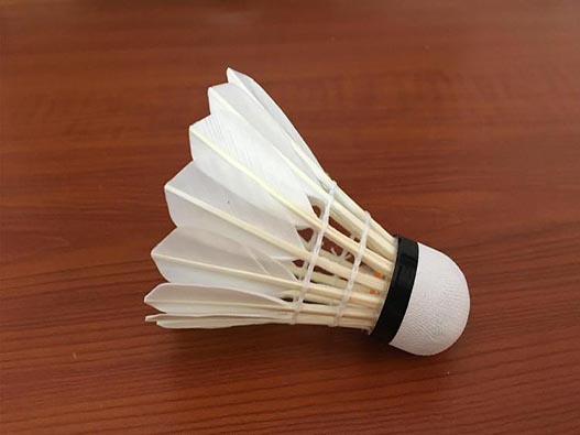 羽毛球商標注冊哪一類？