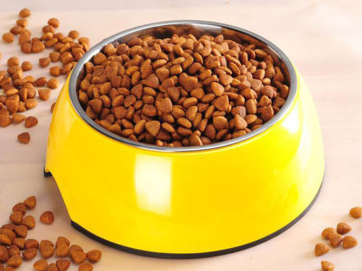 寵物食品商標注冊哪一類？