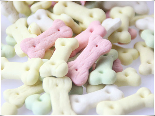 寵物餅干商標注冊哪一類？