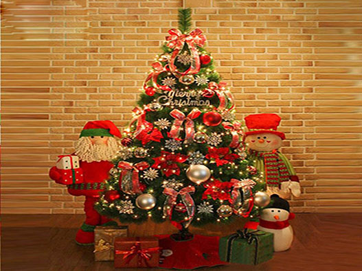 圣誕用品商標(biāo)注冊(cè)哪一類？