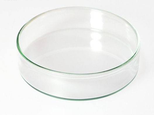 培養(yǎng)皿商標(biāo)注冊(cè)哪一類？