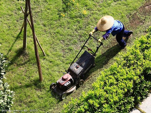 園林修理服務商標注冊屬于哪一類？