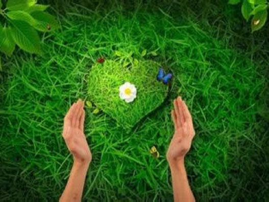 心理服務公司商標注冊屬于哪一類？