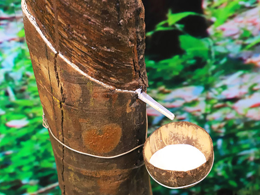 橡膠商標注冊哪一類？