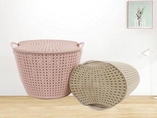 帶孔收納籃商標(biāo)注冊(cè)哪一類？