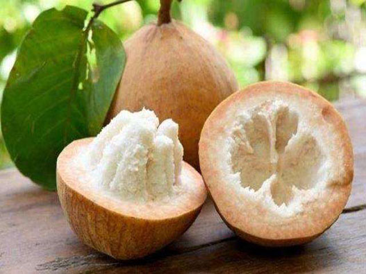 牛奶果商標(biāo)注冊屬于哪一類？