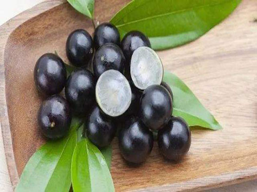 嘉寶果商標注冊哪一類？