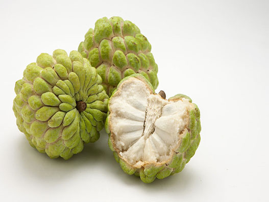 釋迦果商標注冊哪一類？