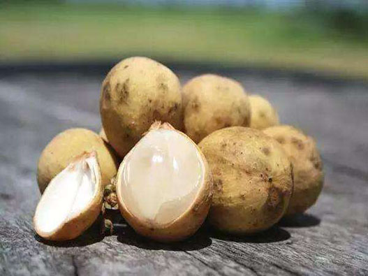 木奶果商標(biāo)注冊屬于哪一類？