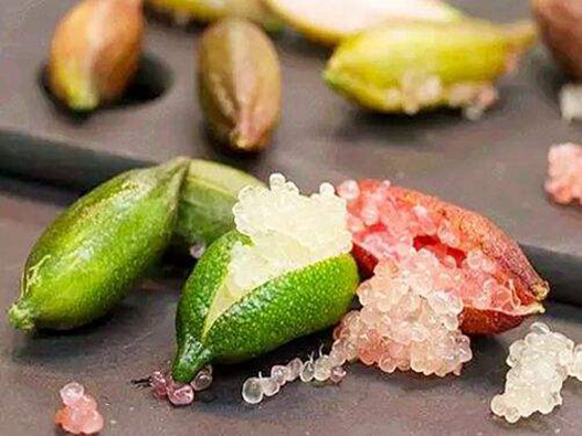 指橙商標(biāo)注冊屬于哪一類？