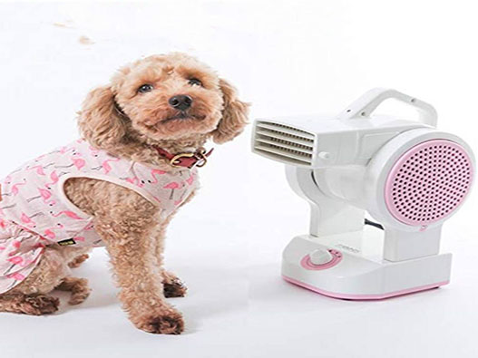 寵物吹風機商標注冊