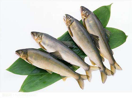 魚場商標注冊哪一類？