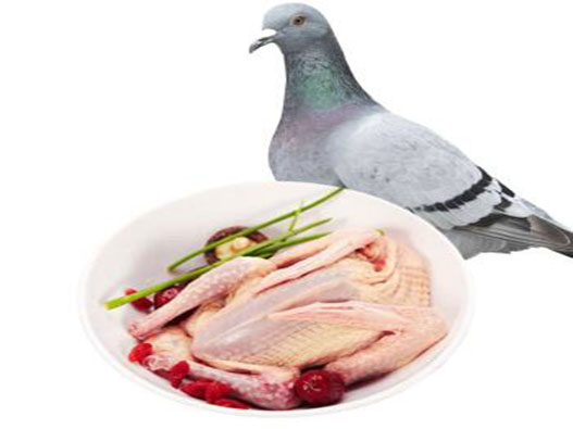 鴿場商標(biāo)注冊